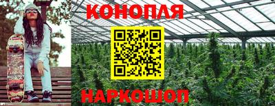 jwh Кинель