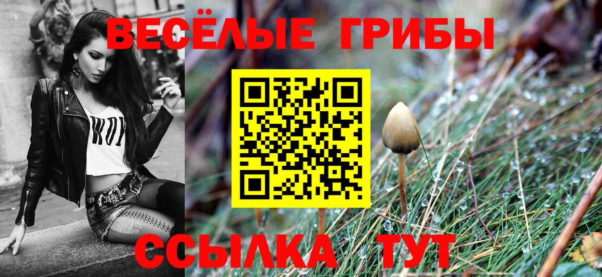 Псилоцибиновые грибы Psilocybine cubensis Кумертау